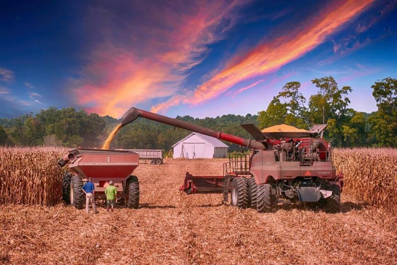 ФАО ожидает рекордного мирового производства зерна